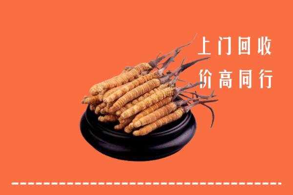 高价求购：曲靖市宣威市回收散虫草