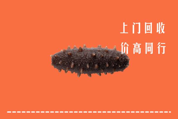 高价求购：曲靖市宣威市回收海参